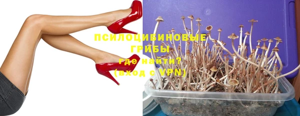 гидропоника Богородск
