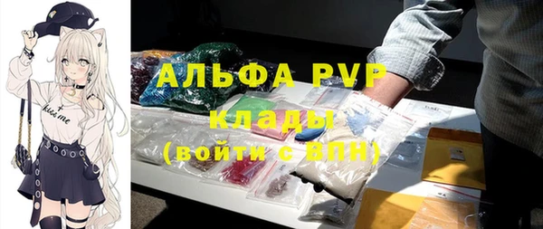 каннабис Богданович